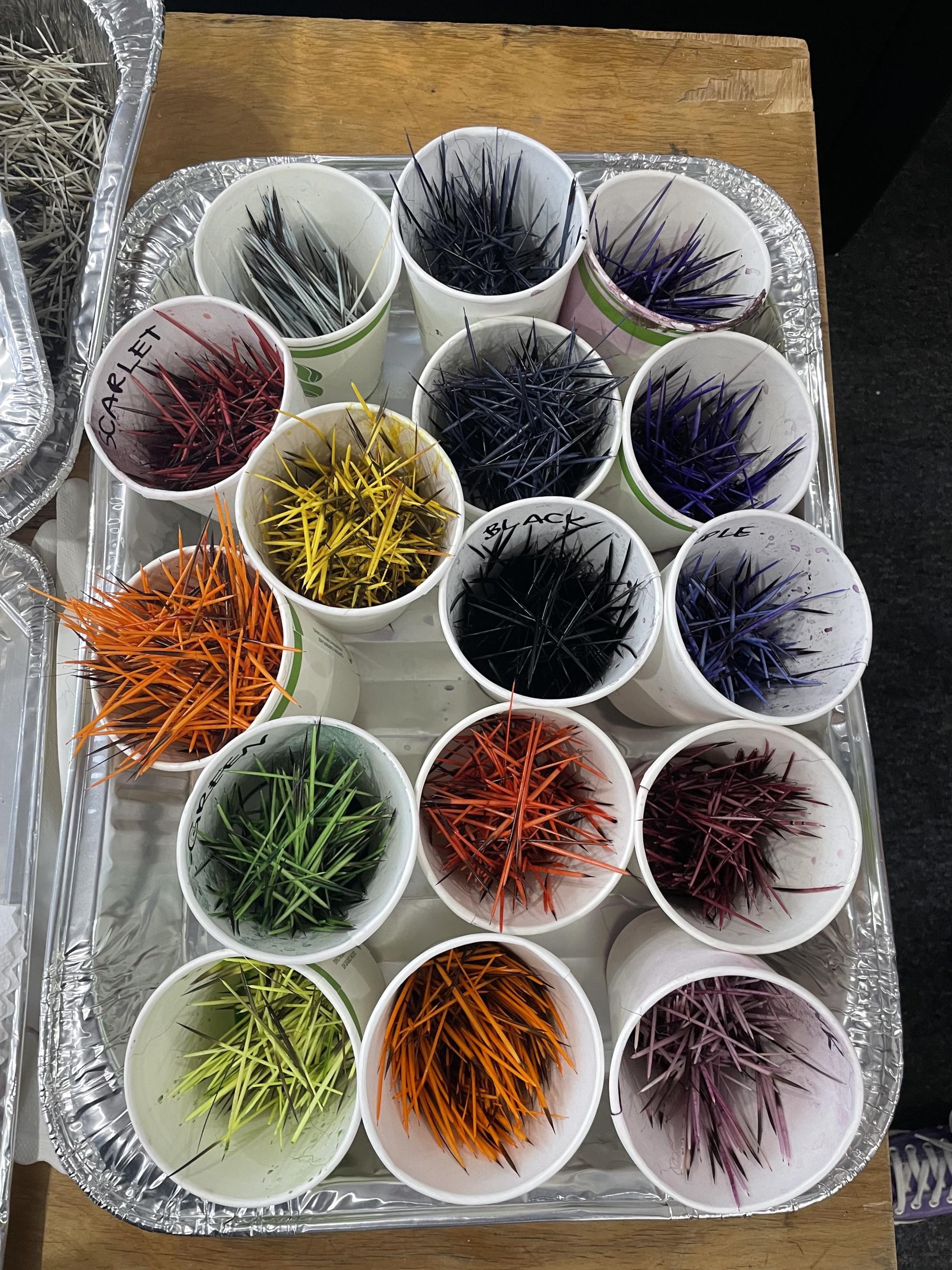 [ID: "16 paper cups full of dyed porcupine quills of various vibrant colours."]