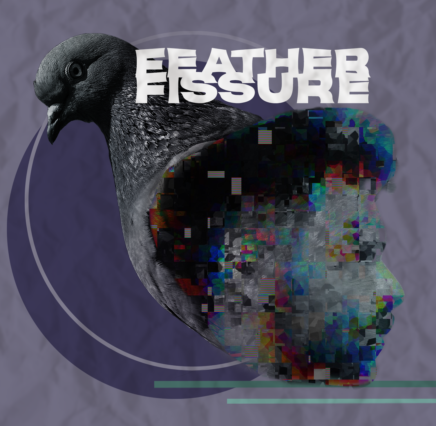 digitally altered image of a pigeon and a male human head with the title Feather Fissure
