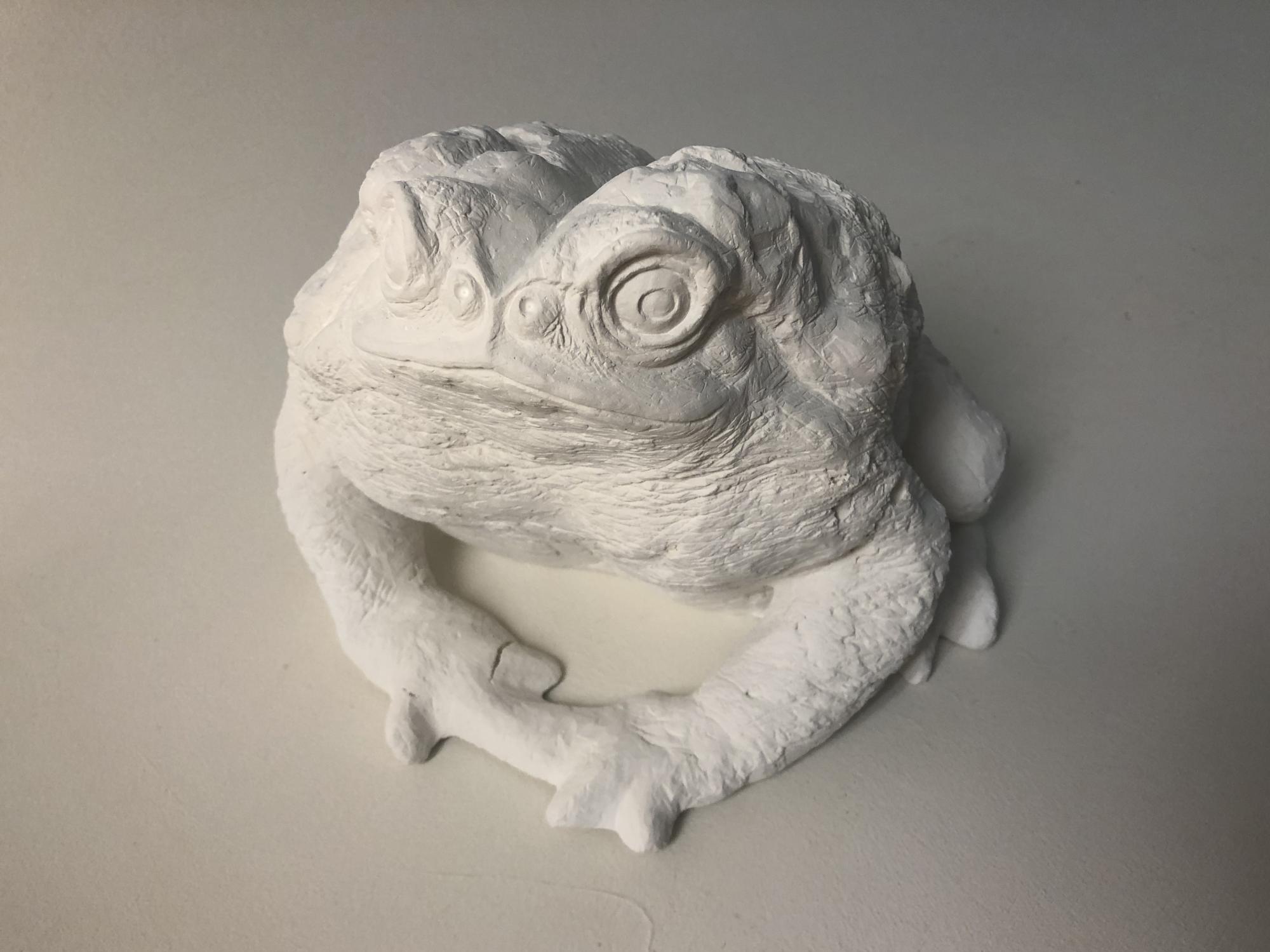 White sculptural work of a toad