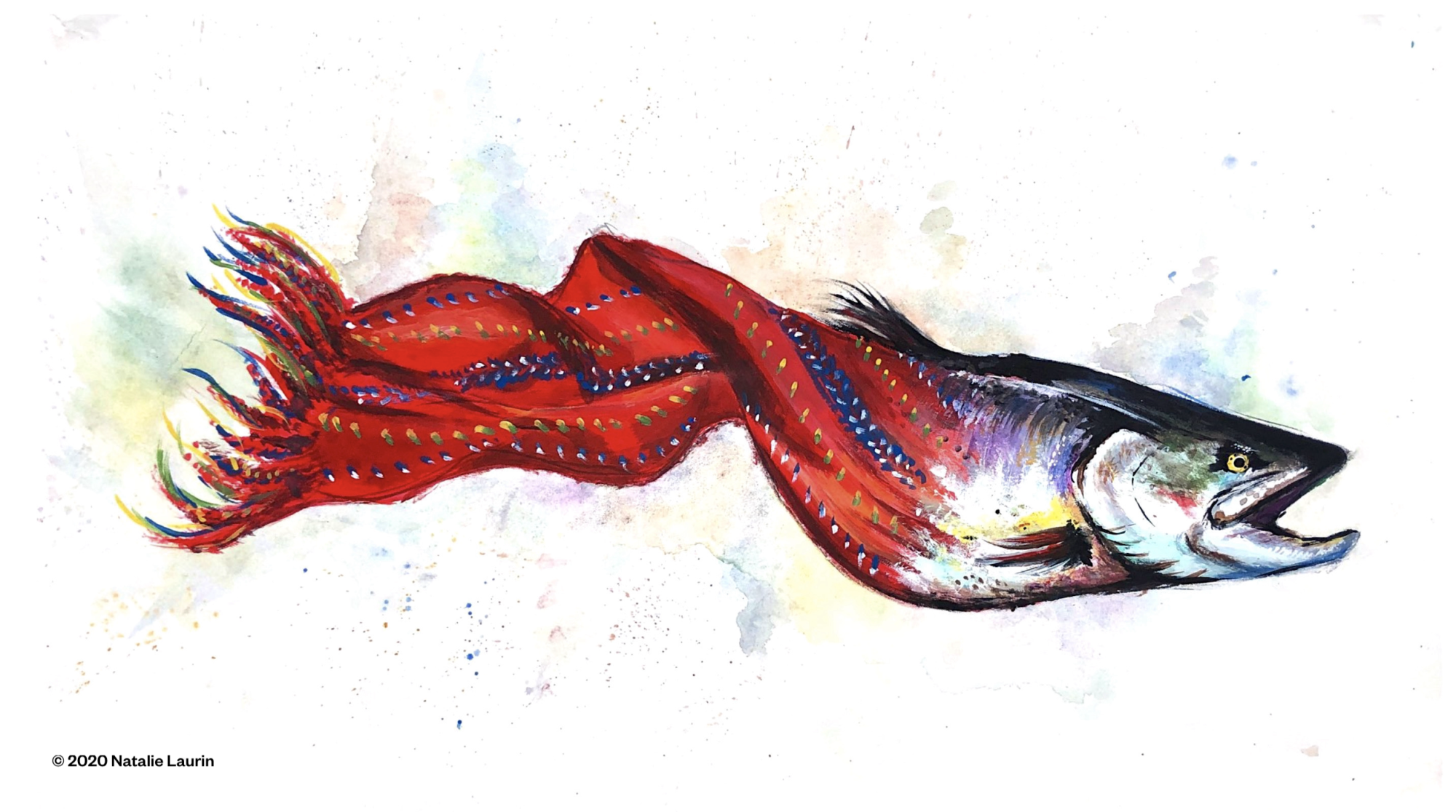 Acrylic and watercolour illustration of a salmon swimming off to the right, with its tail turning into a red Métis sash halfway down its body