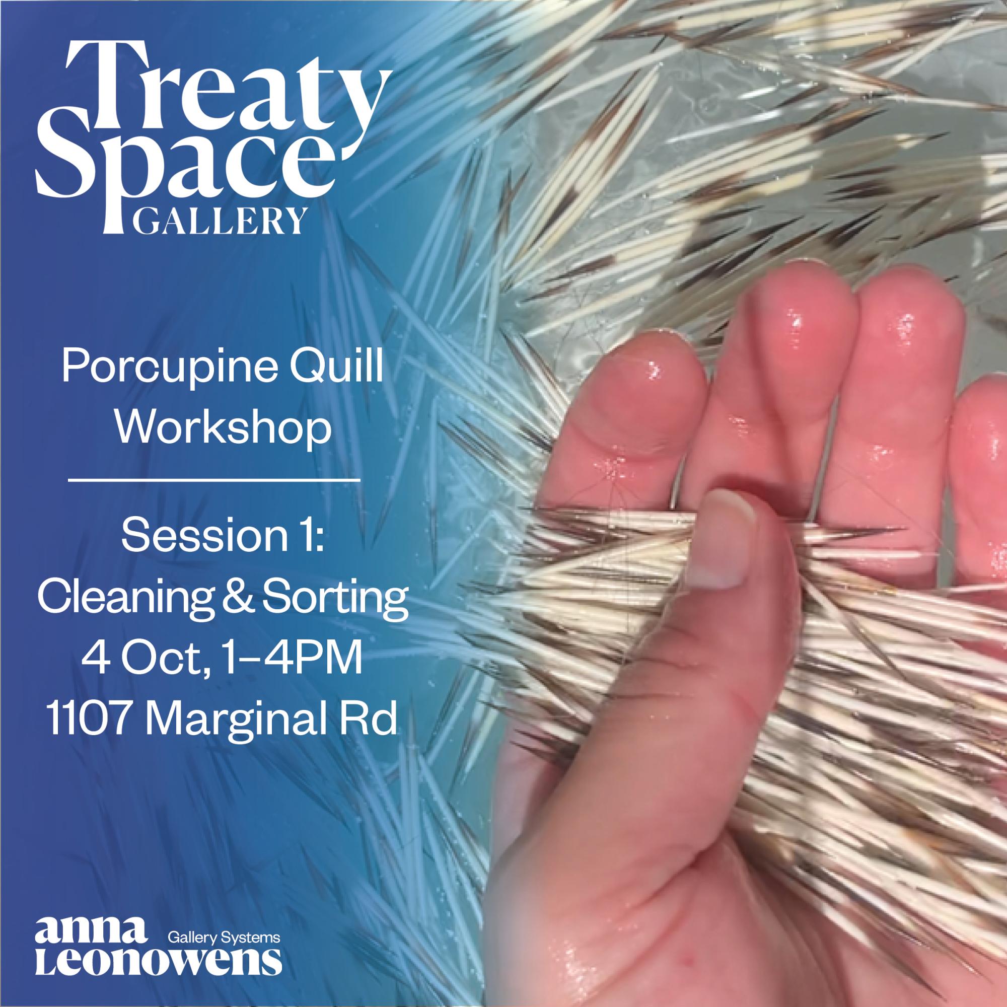 [ID: "Hand holding a bunch of porcupine quills as they are being washed in a bowl of water. The rest of the poster is text that reads Treaty Space Gallery, Porcupine Quill Workshop, Session 1: Cleaning and Sorting, 4 Oct 1-4pm, 1107 Marginal Rd, Anna Leonowens Gallery Systems."]