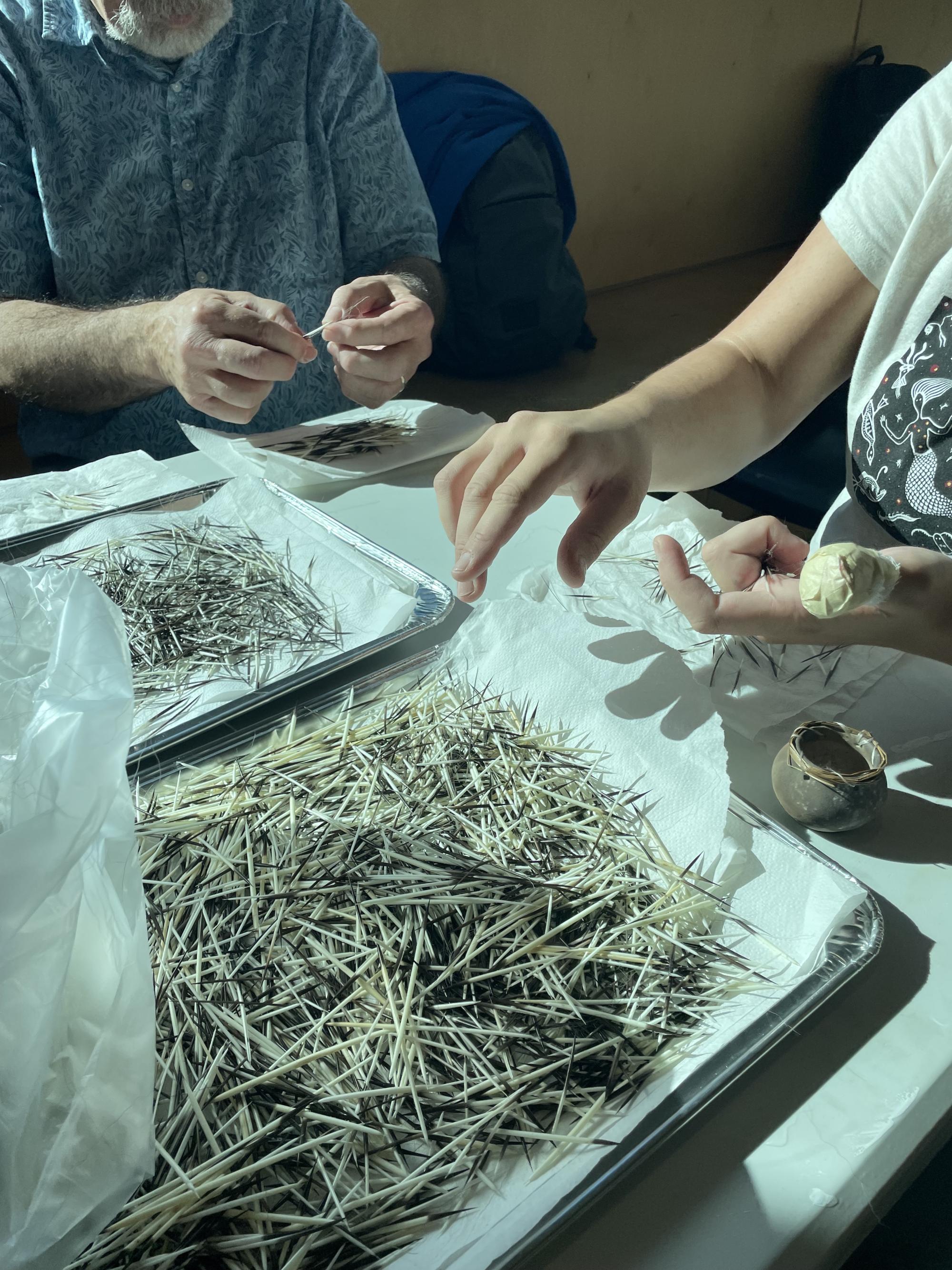[ID: "Workshop participants sorting out hair from freshly washed porcupine quills."]
