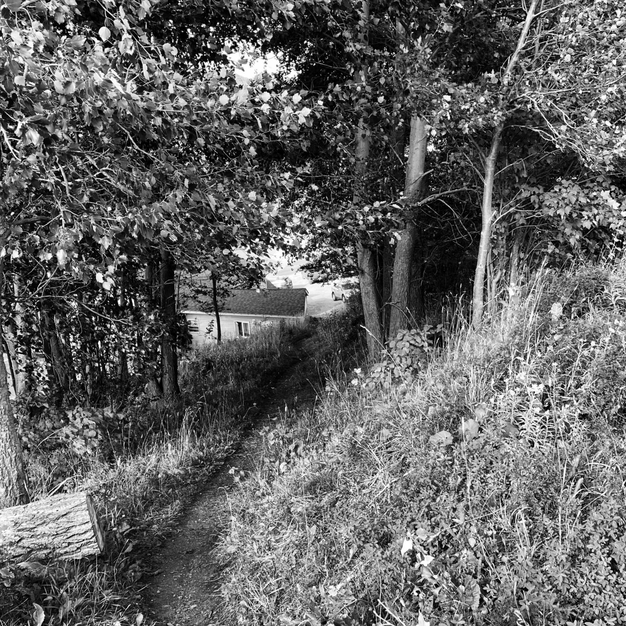 [ID: "Black and white photo of a trail in the woods leading towards a house."]