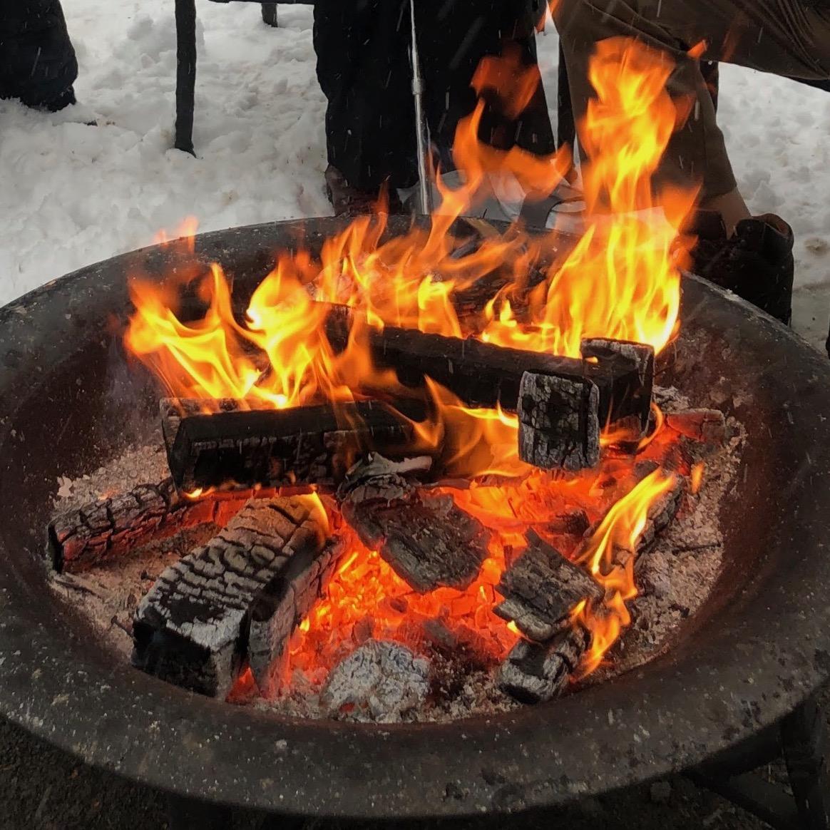 [ID: "Logs burning in a metal fire pit with snow in the background."]