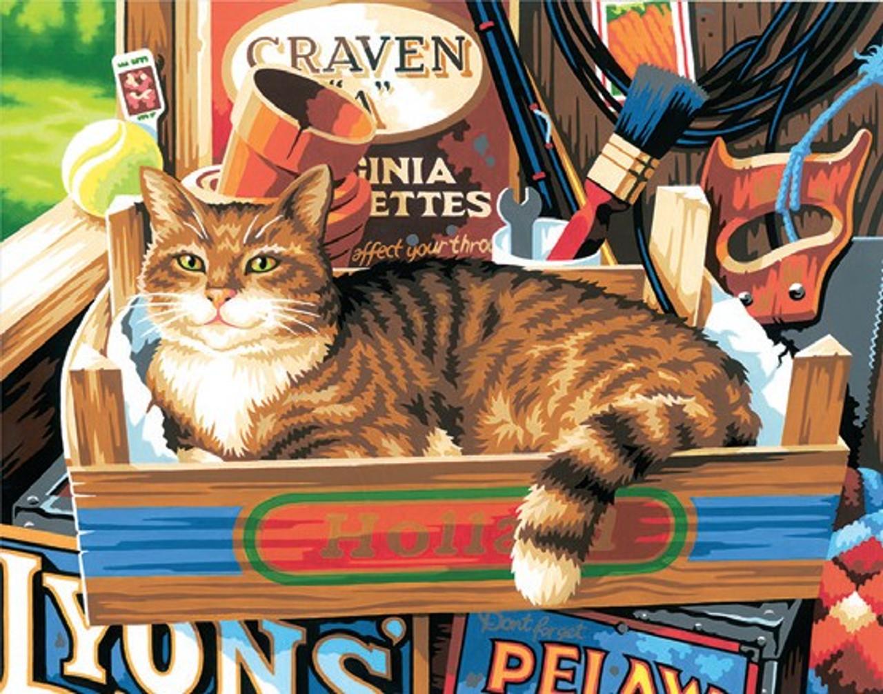 cat in toolbox