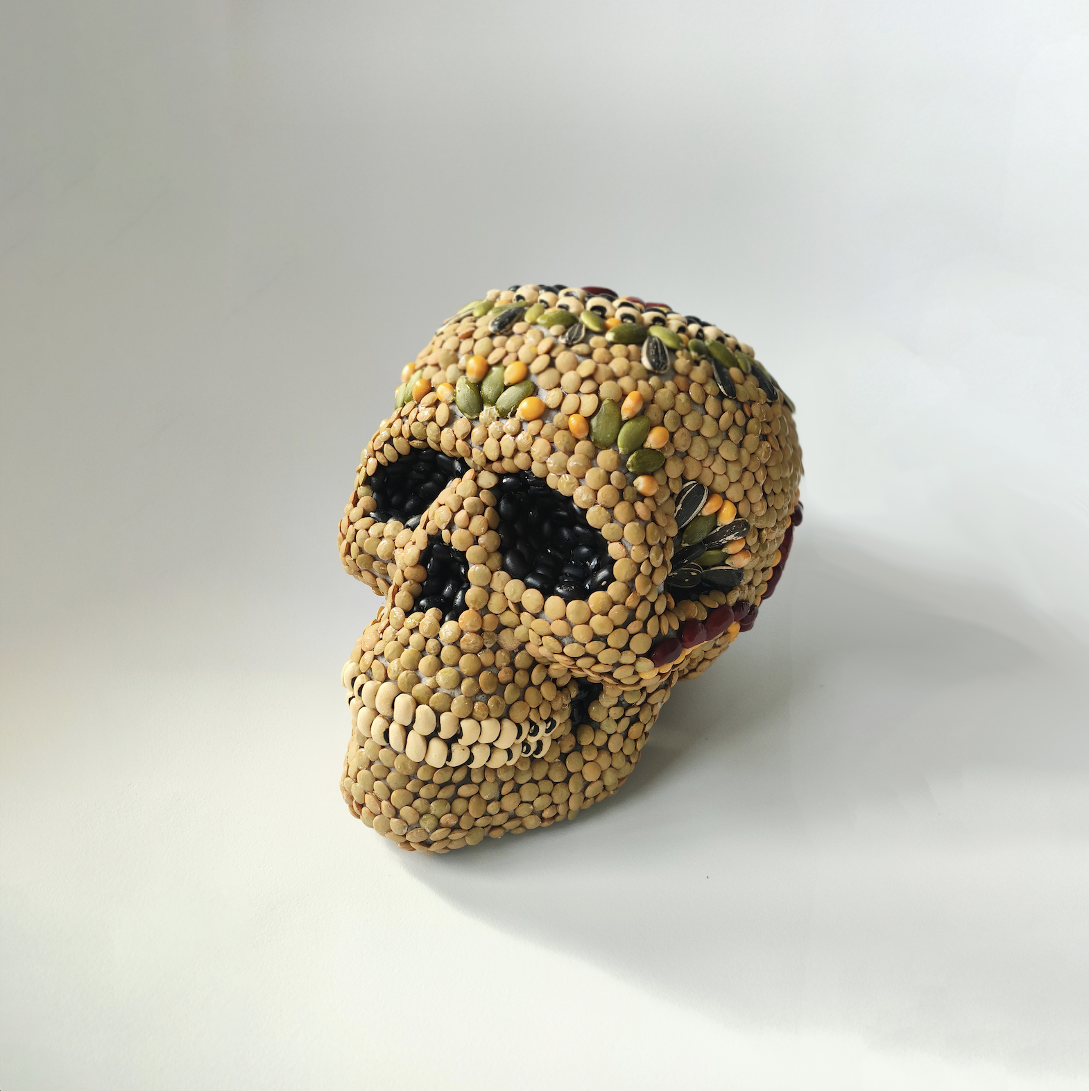 a foam in the shape of a skull decorated with various dried seeds