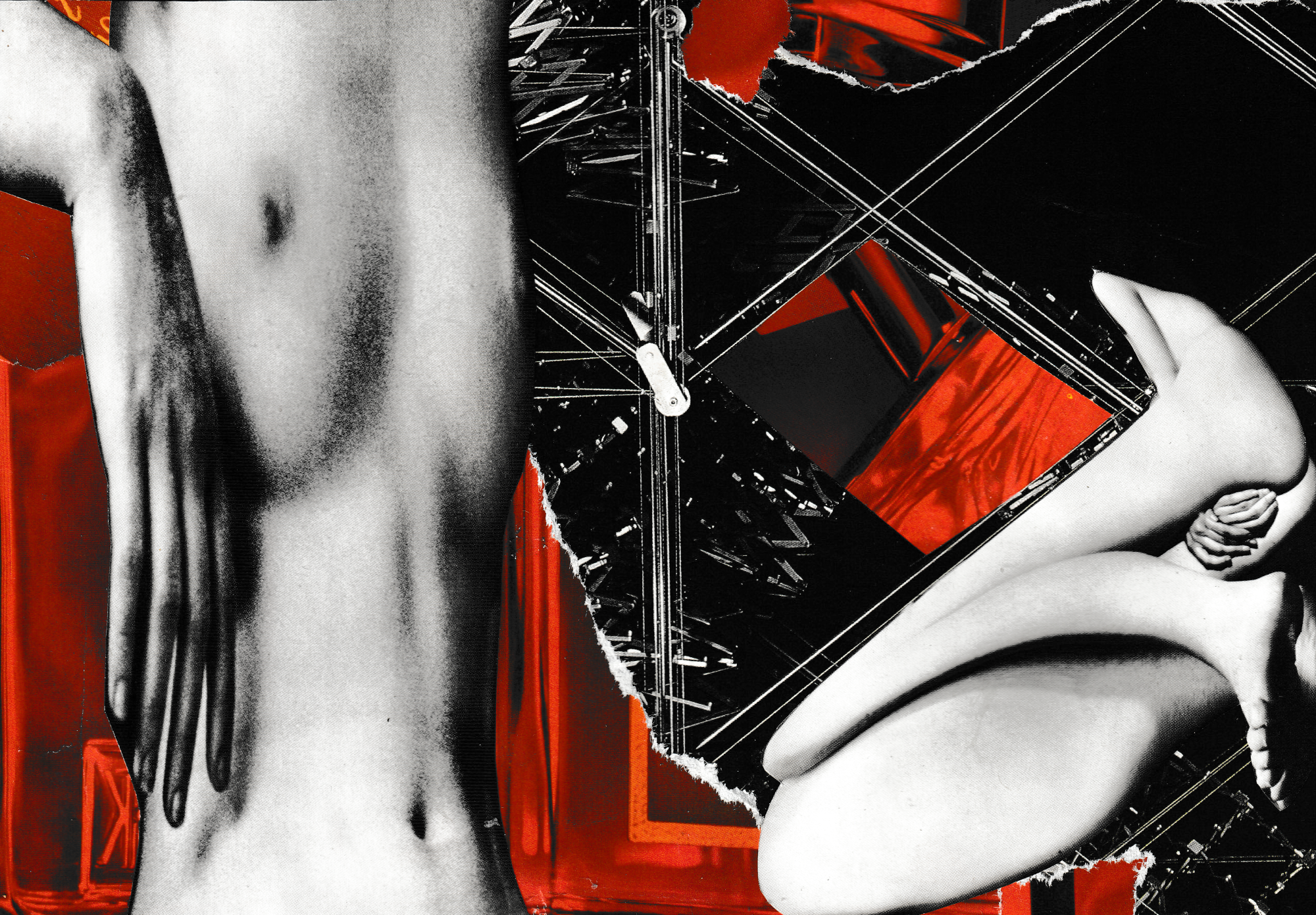 girlboybird & the Kink Collective