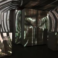 As an artist I use projection to create an experience. I manipulate light, line and location to impact the gallery space.