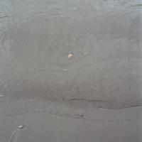 Close up photograph of grey sand with pebbles amongst the sand and water lightly washing over it.