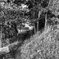B&W digital photograph of a footpath cutting through a Spring meadow, into a line of trees in the midground. Through the clearing of the path, a light-coloured house is seen in the near distance.