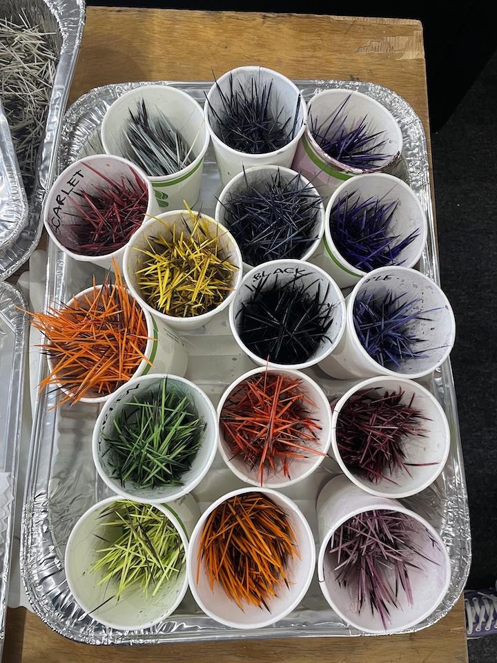 Overhead view of various paper cups full of porcupine quills sitting inside a foil pan. The quills are dyed bright colours like orange, yellow, neon green, blues, and purples.