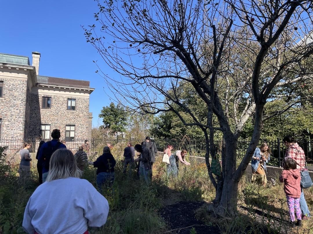 people stand in the Dalhousie pollinator garden among the plants collecting seeds